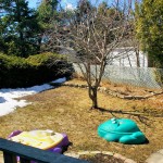 123 Design Drive - Back Yard