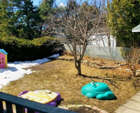 123 Design Drive - Back Yard