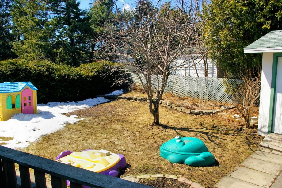 123 Design Drive - Back Yard